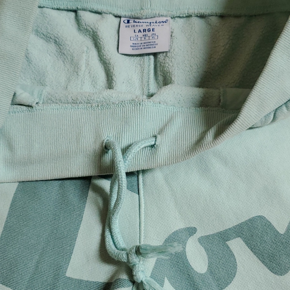 Champion Reverse Weave Script Green Sweat Shorts - Picture 5 of 10
